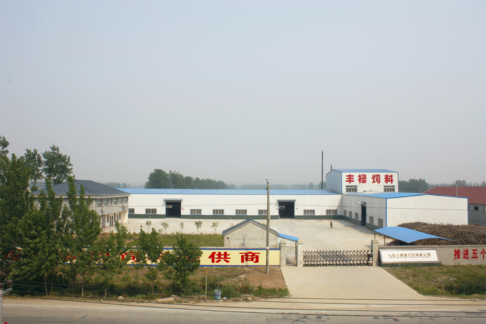 2008 拷貝