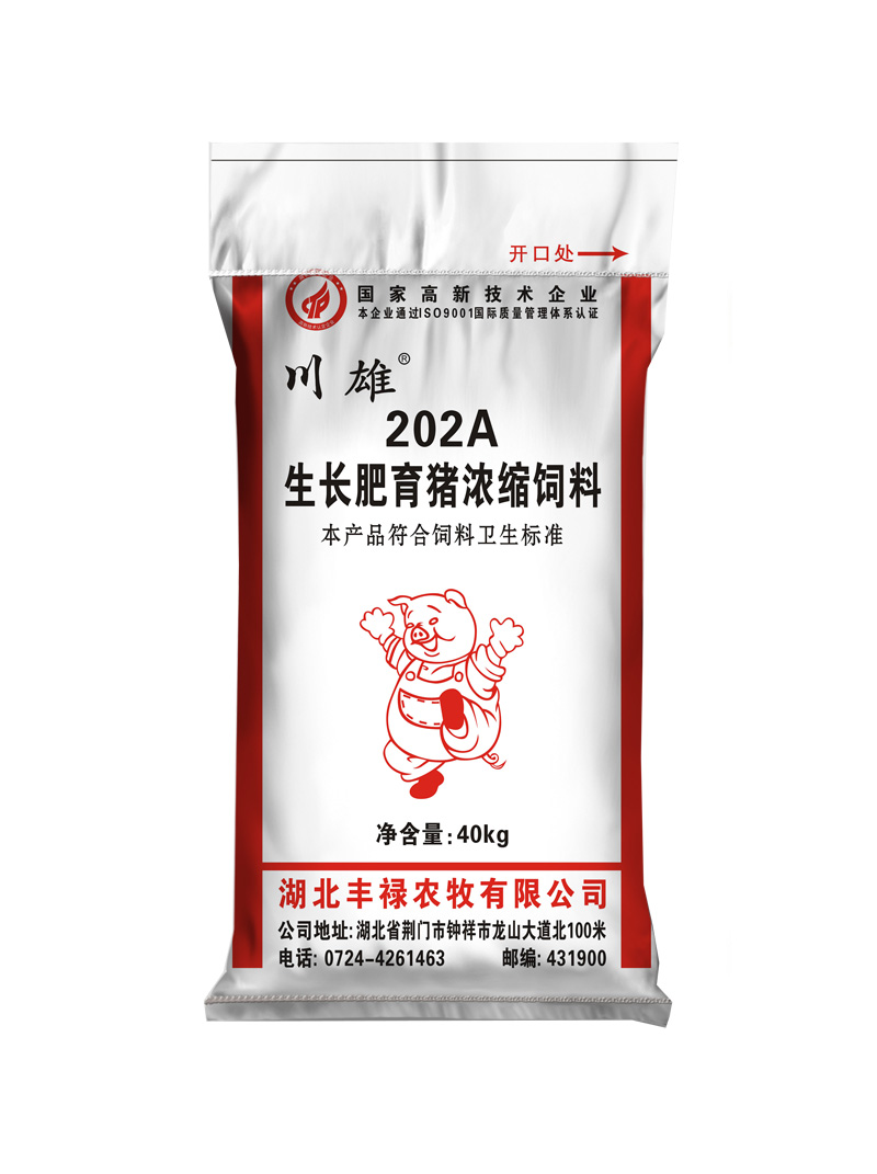 202A